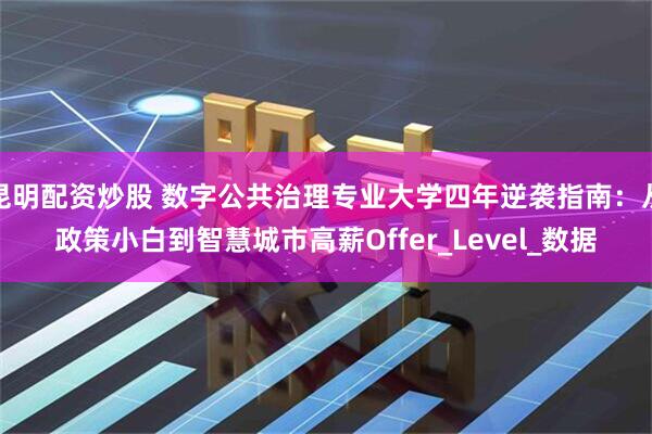 昆明配资炒股 数字公共治理专业大学四年逆袭指南：从政策小白到智慧城市高薪Offer_Level_数据